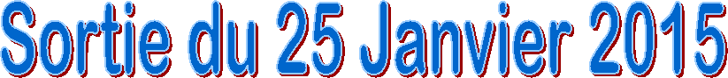 Sortie du 25 Janvier 2015