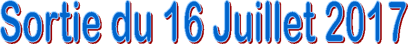 Sortie du 16 Juillet 2017