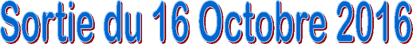 Sortie du 16 Octobre 2016