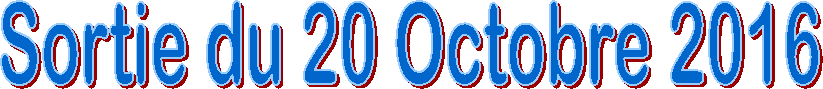 Sortie du 20 Octobre 2016