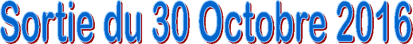 Sortie du 30 Octobre 2016