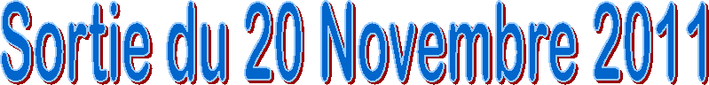 Sortie du 20 Novembre 2011
