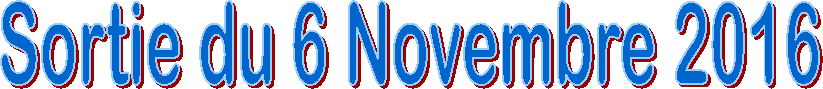 Sortie du 6 Novembre 2016